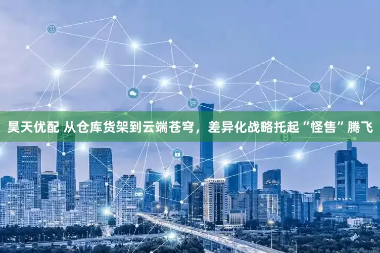 昊天优配 从仓库货架到云端苍穹，差异化战略托起“怪售”腾飞
