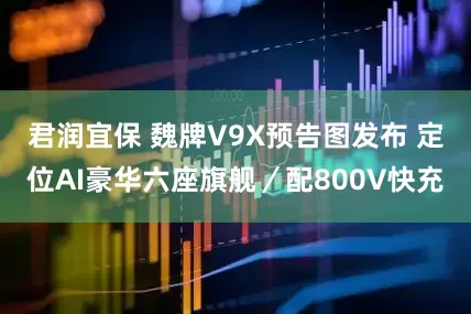 君润宜保 魏牌V9X预告图发布 定位AI豪华六座旗舰／配800V快充